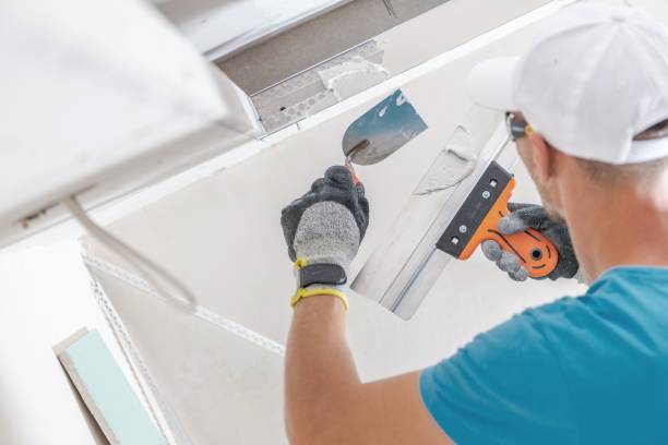 Best Drywall Removal and Disposal  in Ashville, OH